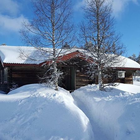 Saelens Bed & Breakfast Apartments Esterno foto