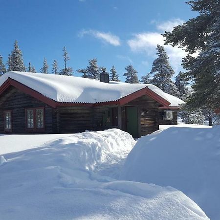 Saelens Bed & Breakfast Apartments Esterno foto